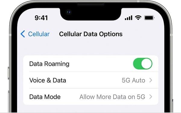 Turn roaming on iPhone